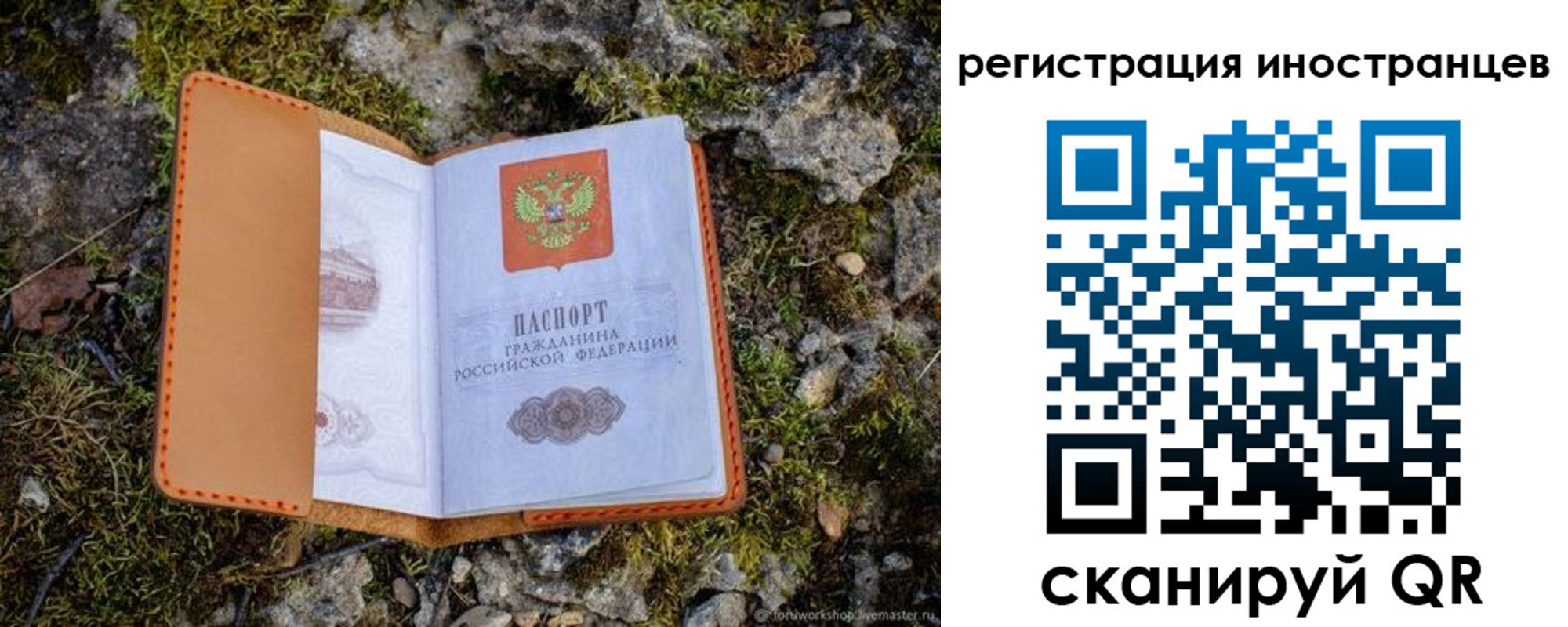 прописка паспорт в Михайлове